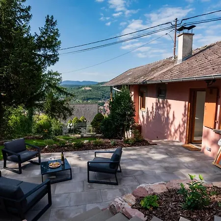 Le Grand Nichoir De La Colline - Parking - Wifi * Mutzig