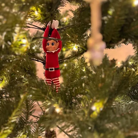 Le Grand Nichoir De La Colline - Parking - Wifi Σπίτι διακοπών