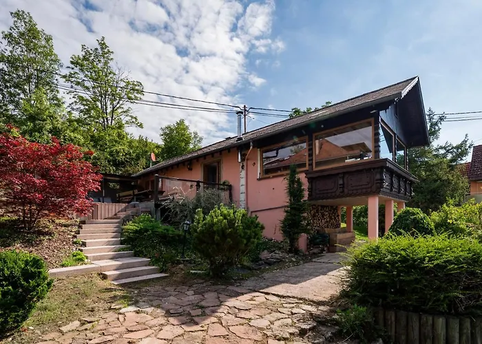 Le Grand Nichoir De La Colline - Parking - Wifi Mutzig